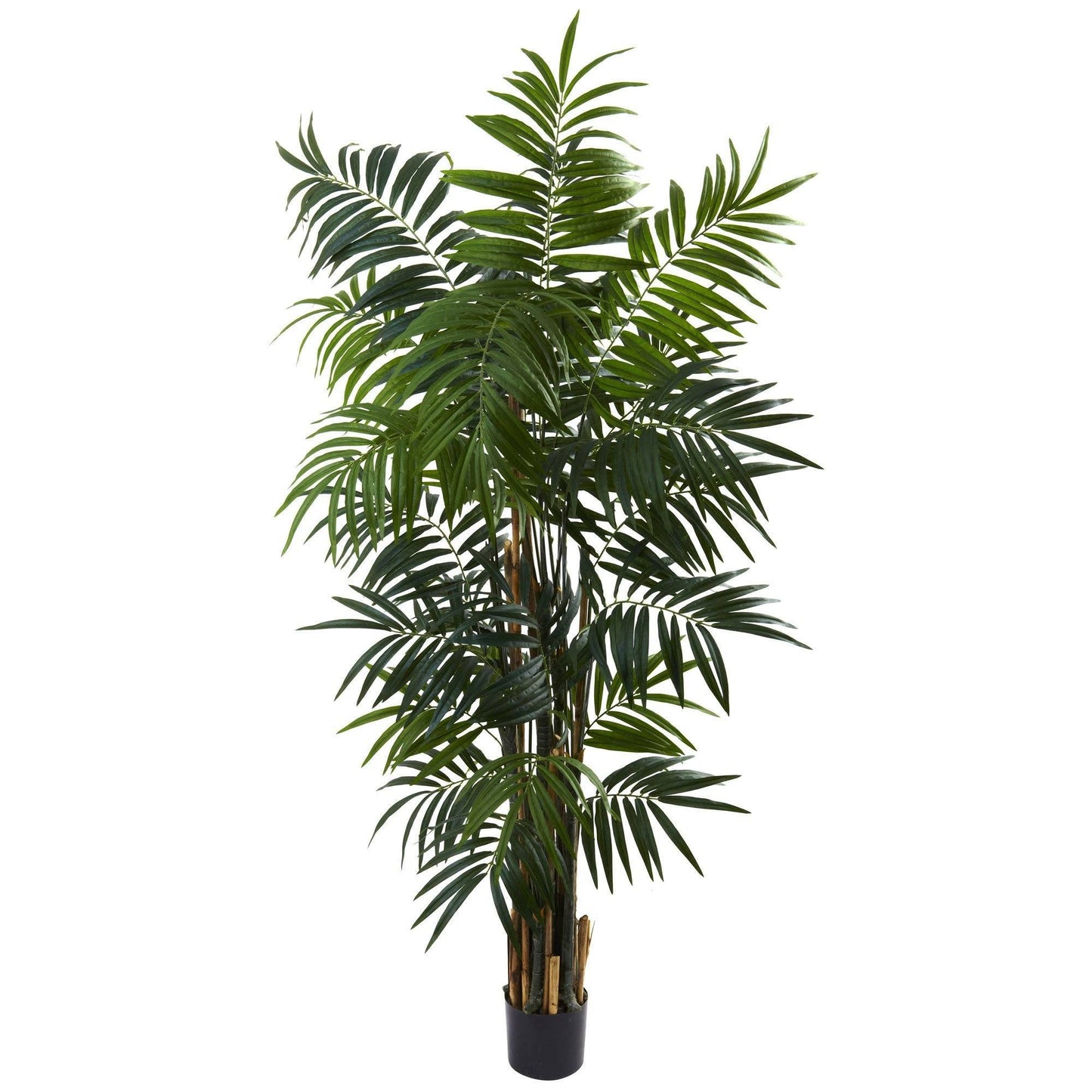 Artificial 6’ Bulb Areca Palm Tree in black planter, Nearly Natural on Tampa Home & Garden Store