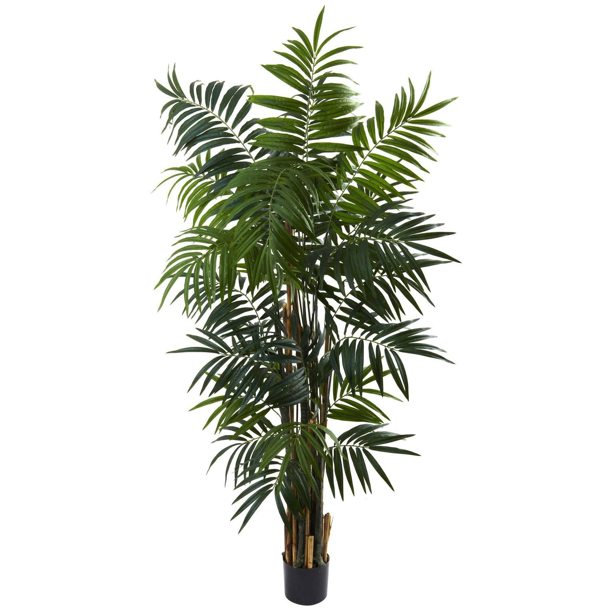 Artificial 6’ Bulb Areca Palm Tree in black planter, Nearly Natural on Tampa Home & Garden Store