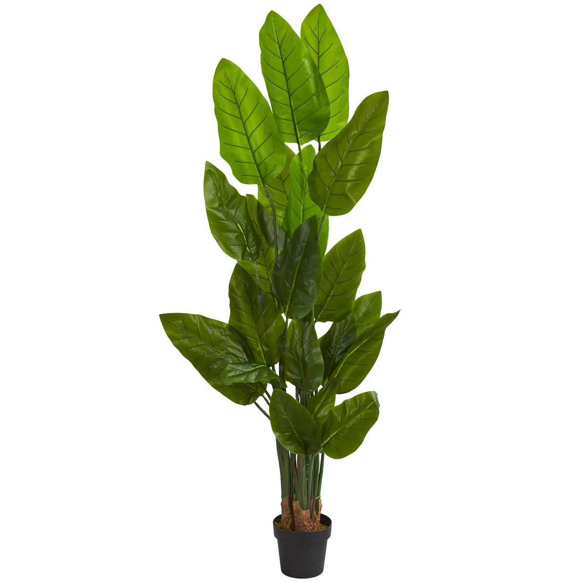 6 ft Canna artificial tree by Nearly Natural with glossy green leaves in a black pot on Tampa Home & Garden Store