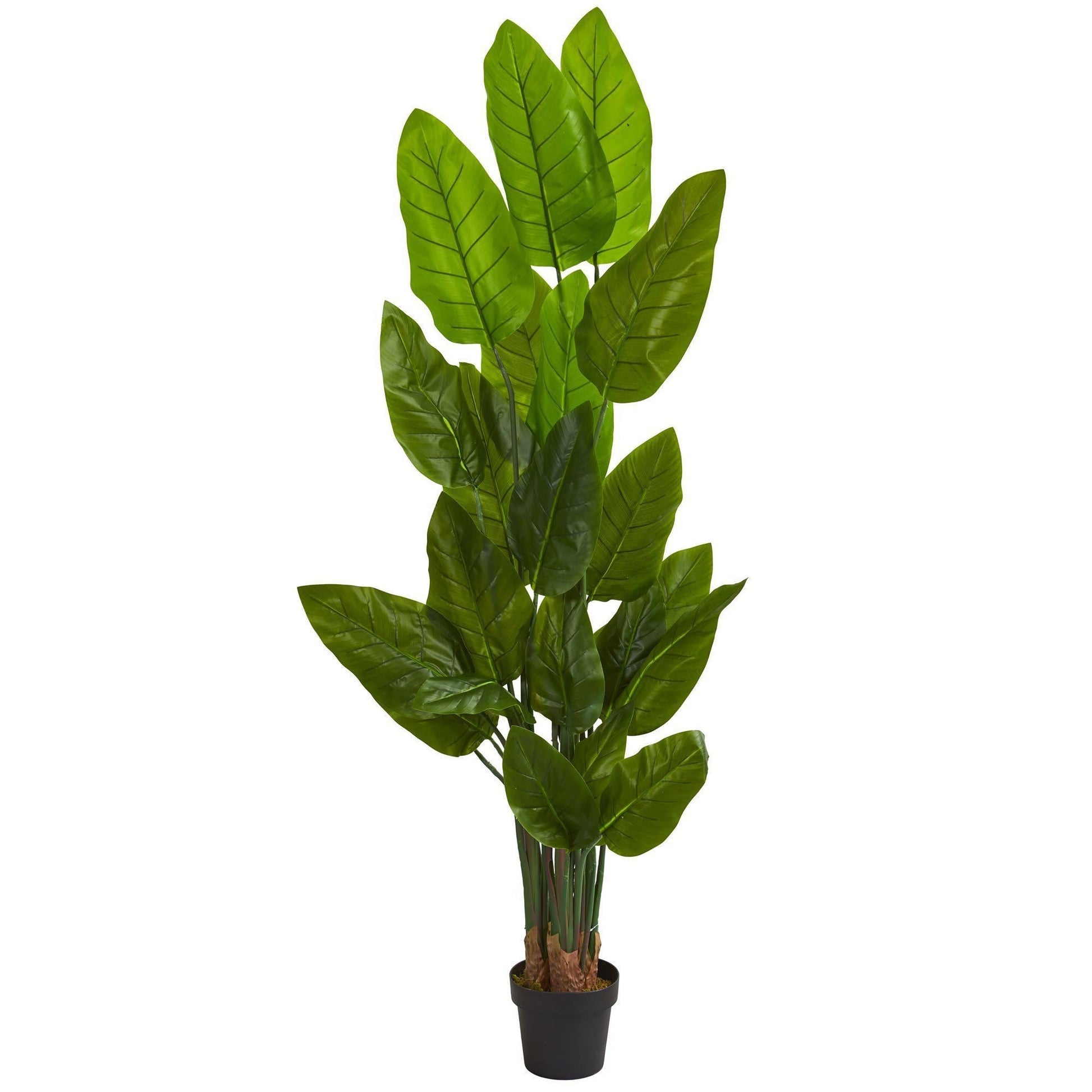 6 ft Canna artificial tree by Nearly Natural with glossy green leaves in a black pot on Tampa Home & Garden Store