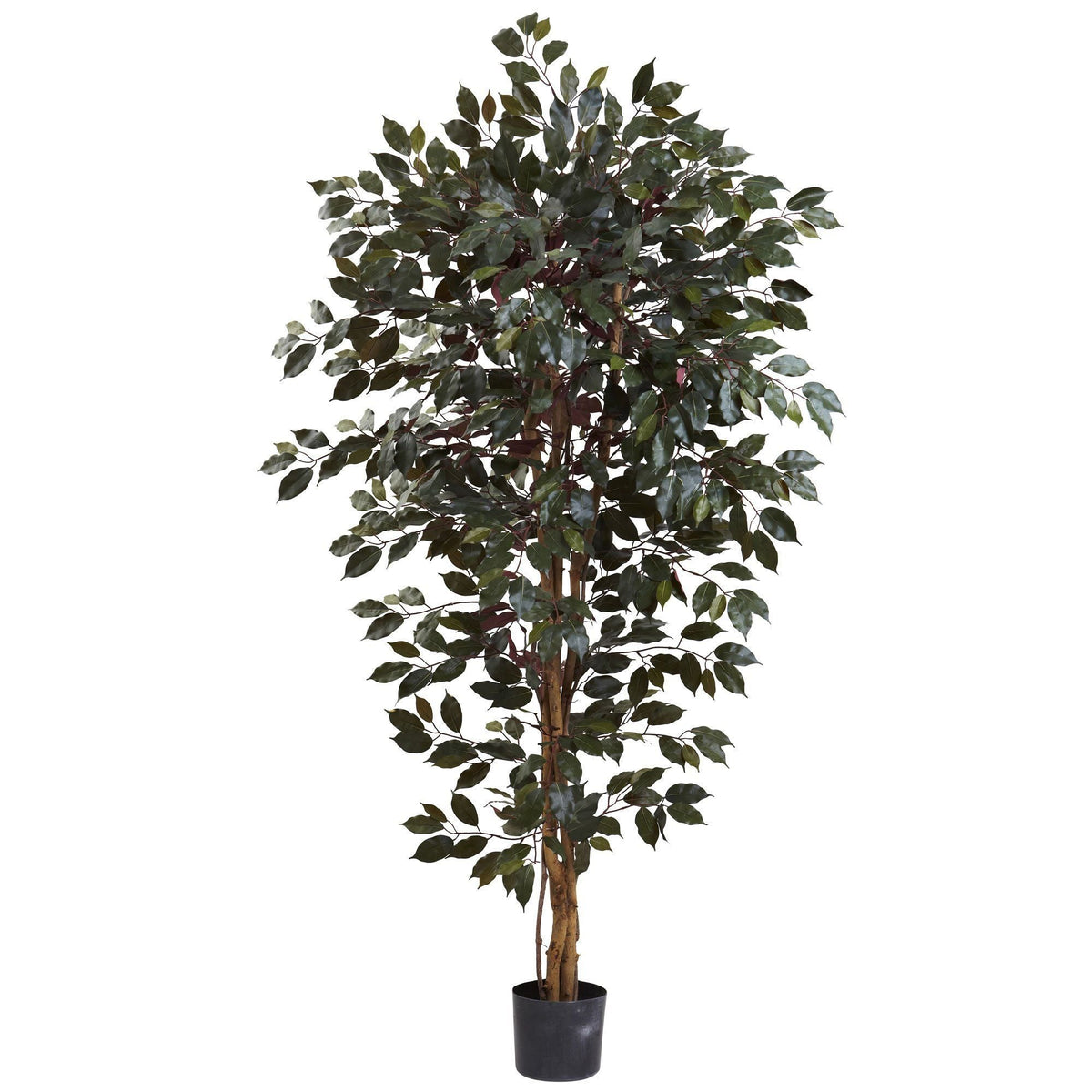 Nearly Natural 6 ft Capensia Ficus Tree x3 with 1008 leaves in a black planter on Tampa Home & Garden Store