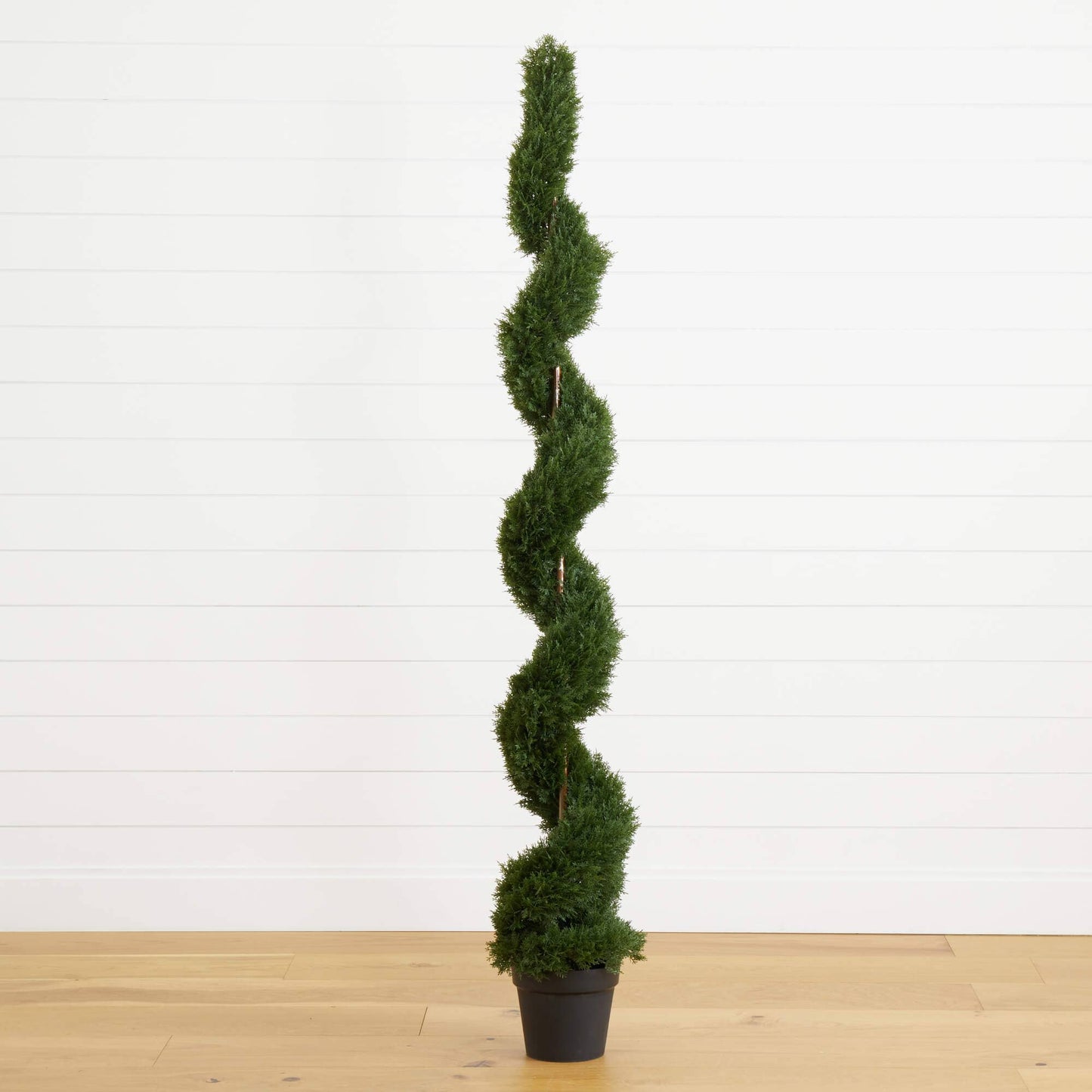 6 Foot Cedar Spiral Silk Tree