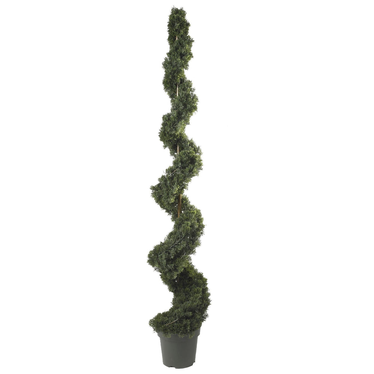 6' Cedar Spiral Silk Tree by Nearly Natural in a gray planter for indoor outdoor use on Tampa Home & Garden Store