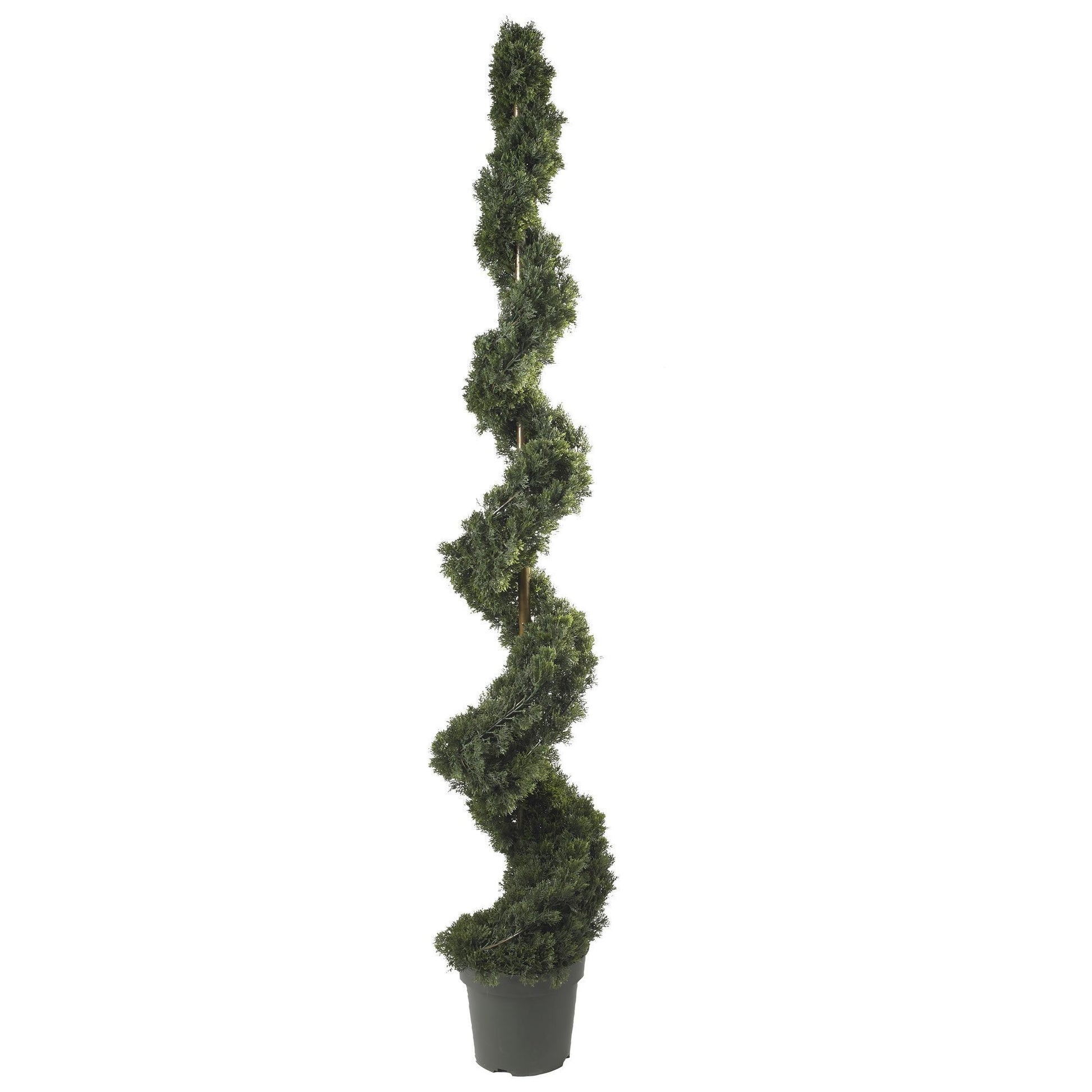 6' Cedar Spiral Silk Tree by Nearly Natural in a gray planter for indoor outdoor use on Tampa Home & Garden Store