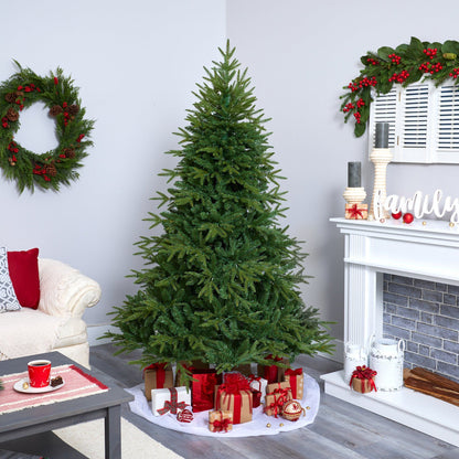6ft Colorado Mountain Fir Natural Look artificial Christmas Tree by Nearly Natural with 350 LED on Tampa Home & Garden Store