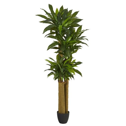 Six-Foot Corn Stalk Dracaena Plant Real Touch artificial Nearly Natural with two trunks in pot on Tampa Home & Garden Store