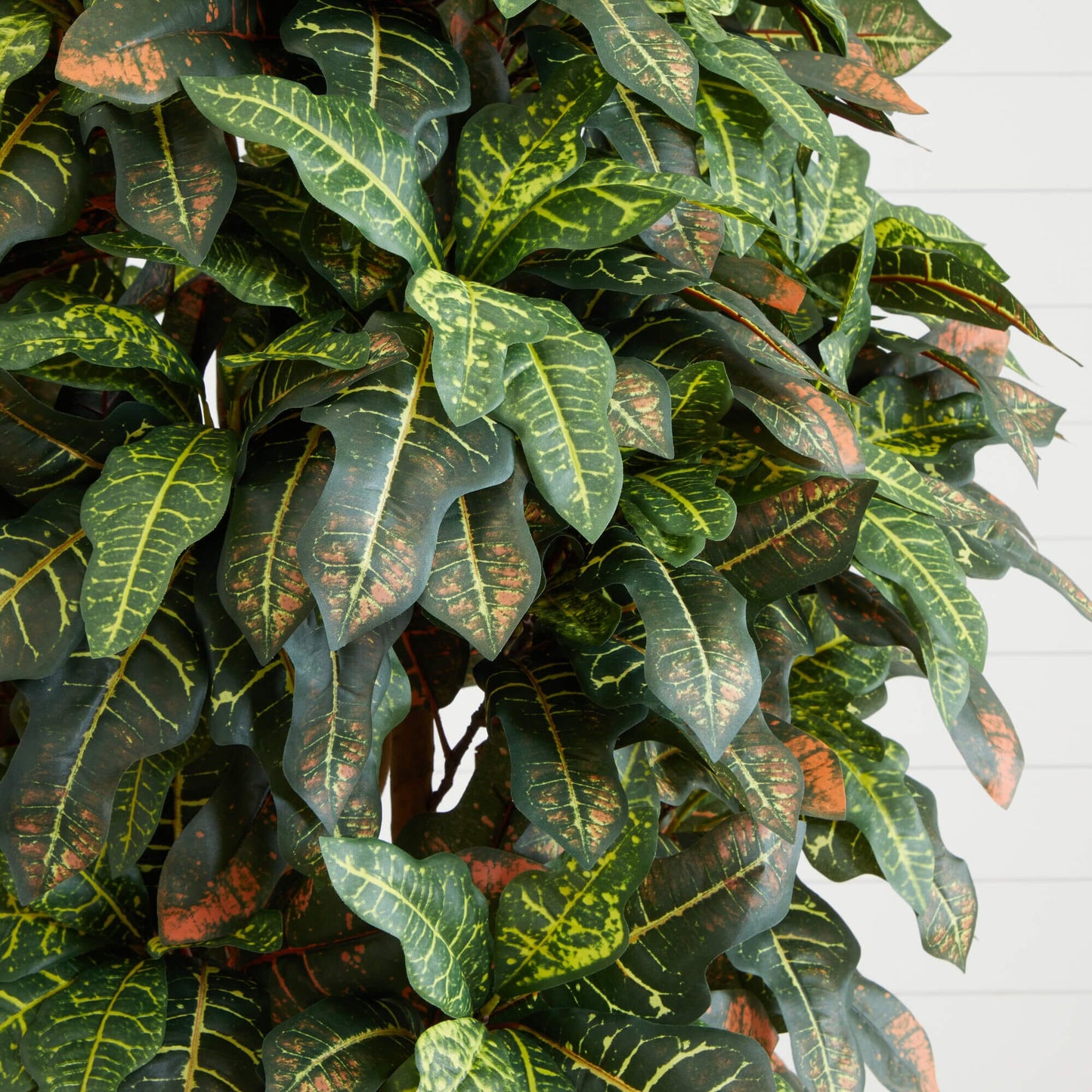 6' Croton Silk Tree artificial tree by Nearly Natural with variegated green and yellow leaves on Tampa Home & Garden Store