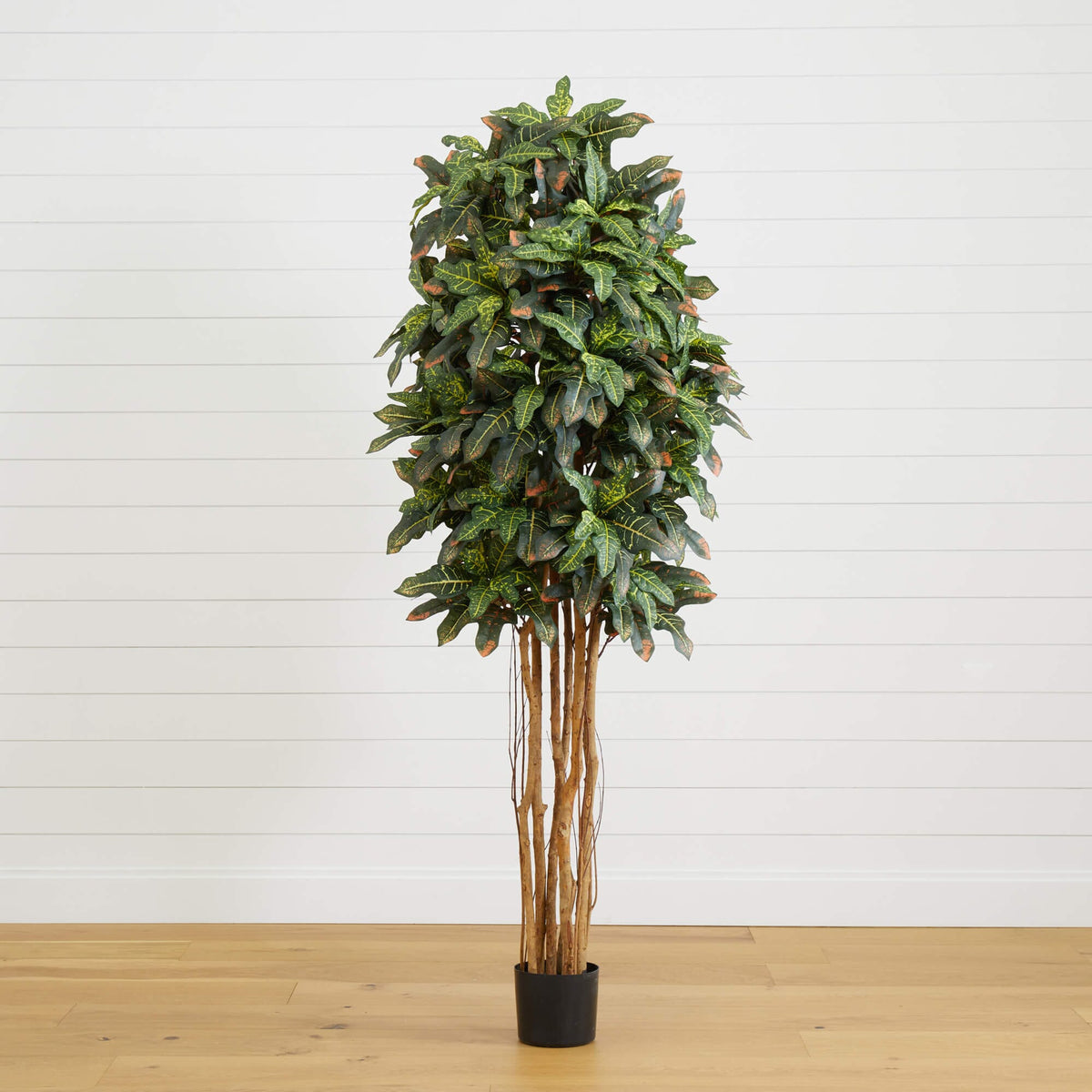 6' Croton Silk Tree artificial tree by Nearly Natural with variegated green leaves on Tampa Home & Garden Store
