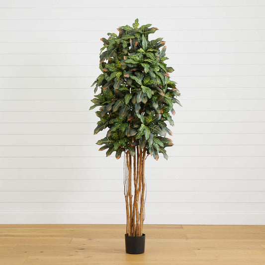 6' Croton Silk Tree artificial tree by Nearly Natural with variegated green leaves on Tampa Home & Garden Store
