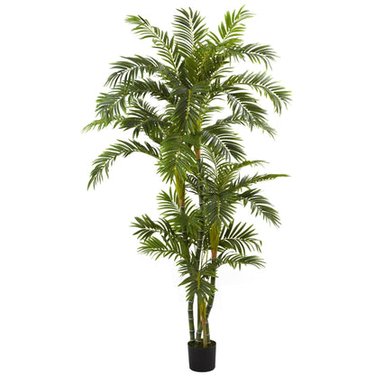 6’ Curvy Parlor Palm Silk Tree by Nearly Natural, artificial palm in black planter on Tampa Home & Garden Store