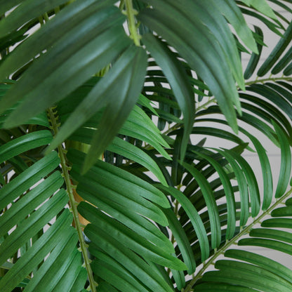 6’ Curvy Parlor Palm Silk Tree with green silk fronds Nearly Natural on Tampa Home & Garden Store