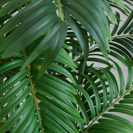6’ Curvy Parlor Palm Silk Tree with green silk fronds Nearly Natural on Tampa Home & Garden Store