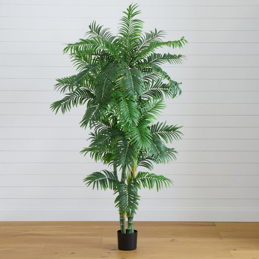 6’ Curvy Parlor Palm Silk Tree by Nearly Natural in a black pot with lush green fronds on Tampa Home & Garden Store