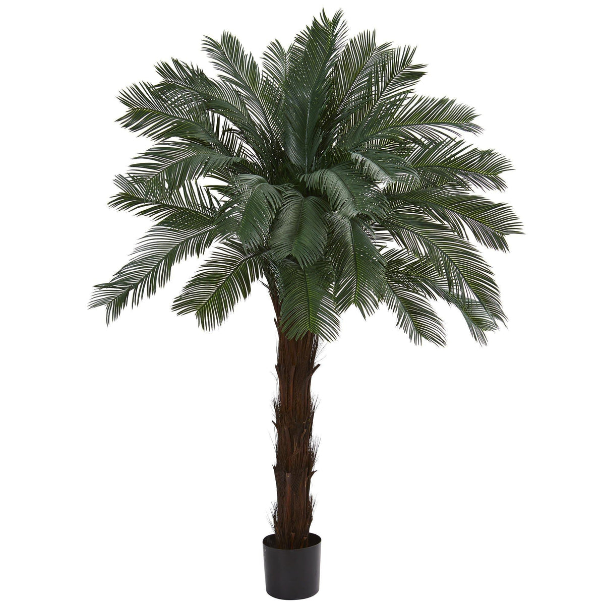 6 ft Cycas artificial tree with UV resistant dark green fronds in a black pot on Tampa Home & Garden Store