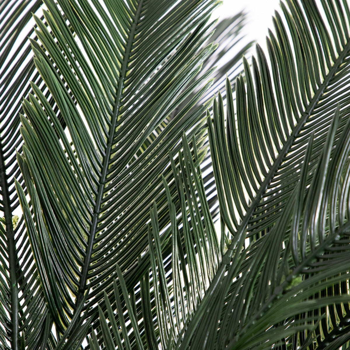 6' Cycas artificial tree dark green fronds, UV resistant by Nearly Natural for indoor/outdoor use on Tampa Home & Garden Store