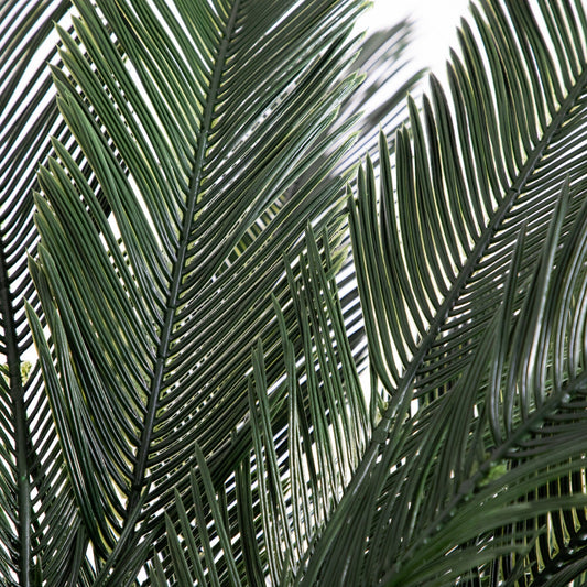 6' Cycas artificial tree dark green fronds, UV resistant by Nearly Natural for indoor/outdoor use on Tampa Home & Garden Store