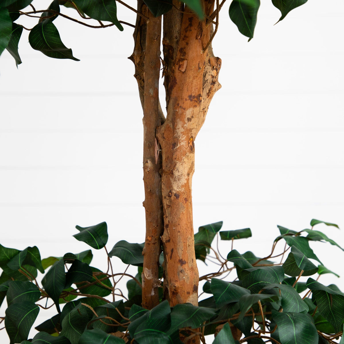 6' Double Ball Ficus Silk Tree with textured brown trunk and dark green leaves Nearly Natural on Tampa Home & Garden Store