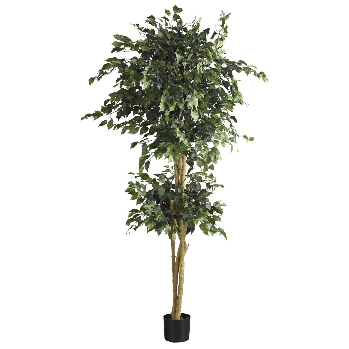 6' Double Ball Ficus Silk Tree by Nearly Natural with lush green leaves in a black pot on Tampa Home & Garden Store