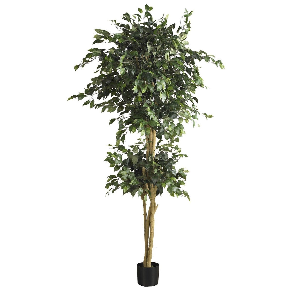 6' Double Ball Ficus Silk Tree by Nearly Natural with lush green leaves in a black pot on Tampa Home & Garden Store