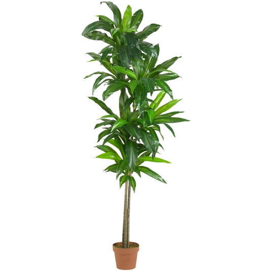 6’ Dracaena Silk Plant (Real Touch) - Tampa Home & Garden Store