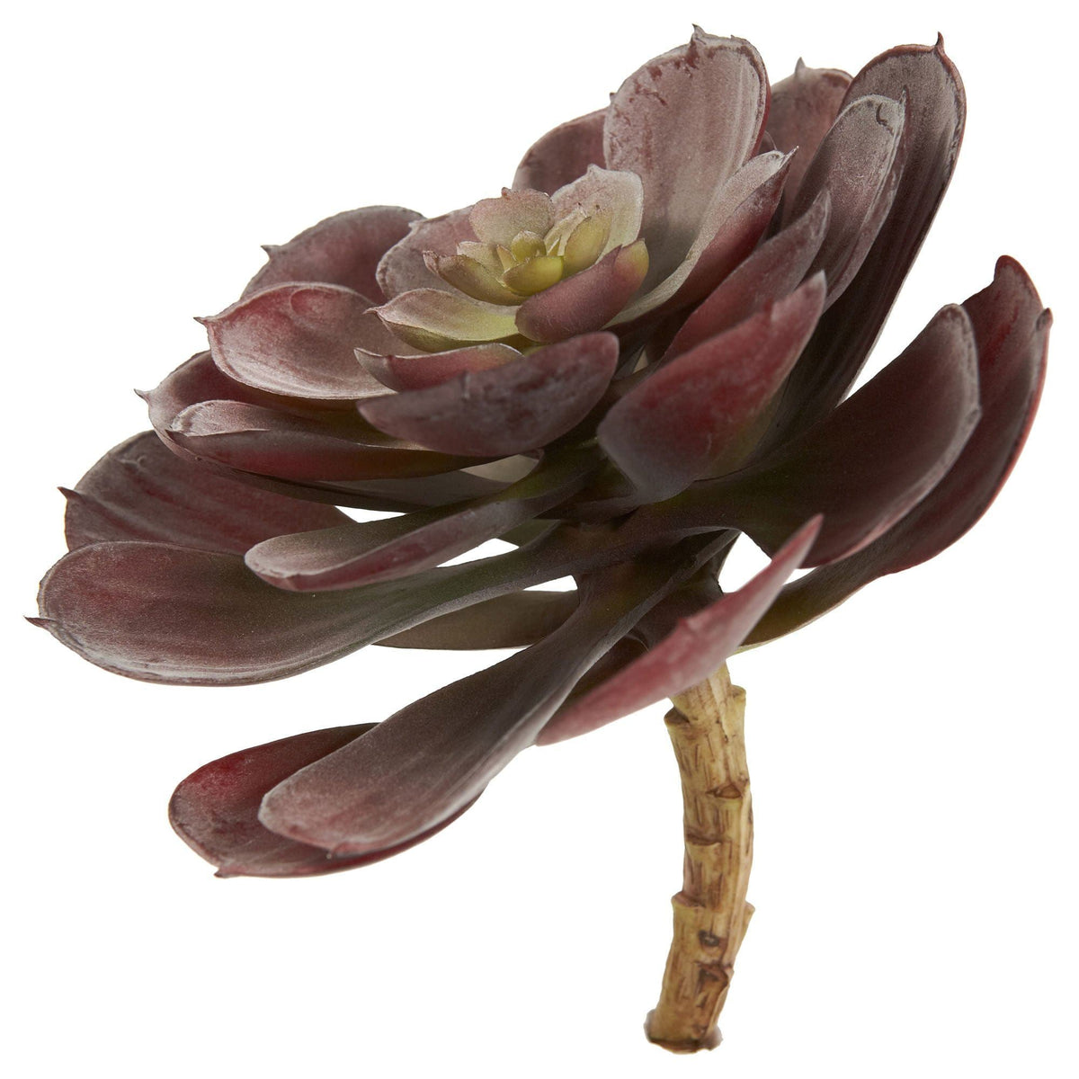 Nearly Natural 6in Echeveria succulent burgundy-purple leaves with green center, 12-pack on Tampa Home & Garden Store