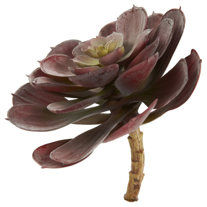 Nearly Natural 6in Echeveria succulent burgundy-purple leaves with green center, 12-pack on Tampa Home & Garden Store