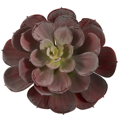 6-inch Echeveria succulent rosette with burgundy leaves, Nearly Natural on Tampa Home & Garden Store