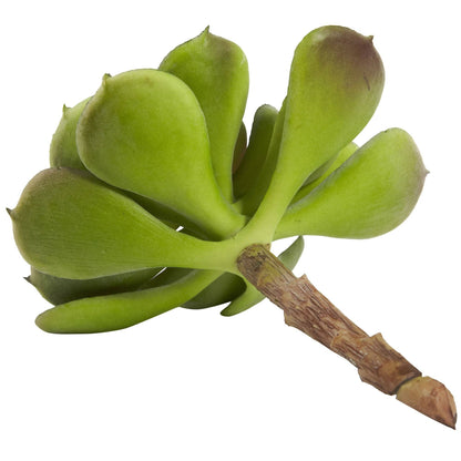 6” Artificial Echeveria Succulent (Set of 12)