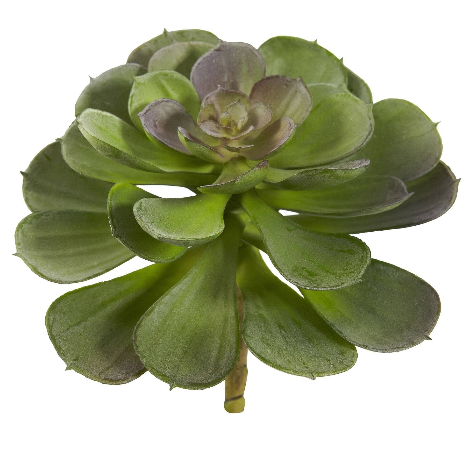 Nearly Natural 6” Echeveria succulent rosette, set of 12, green leaves with purple center on Tampa Home & Garden Store