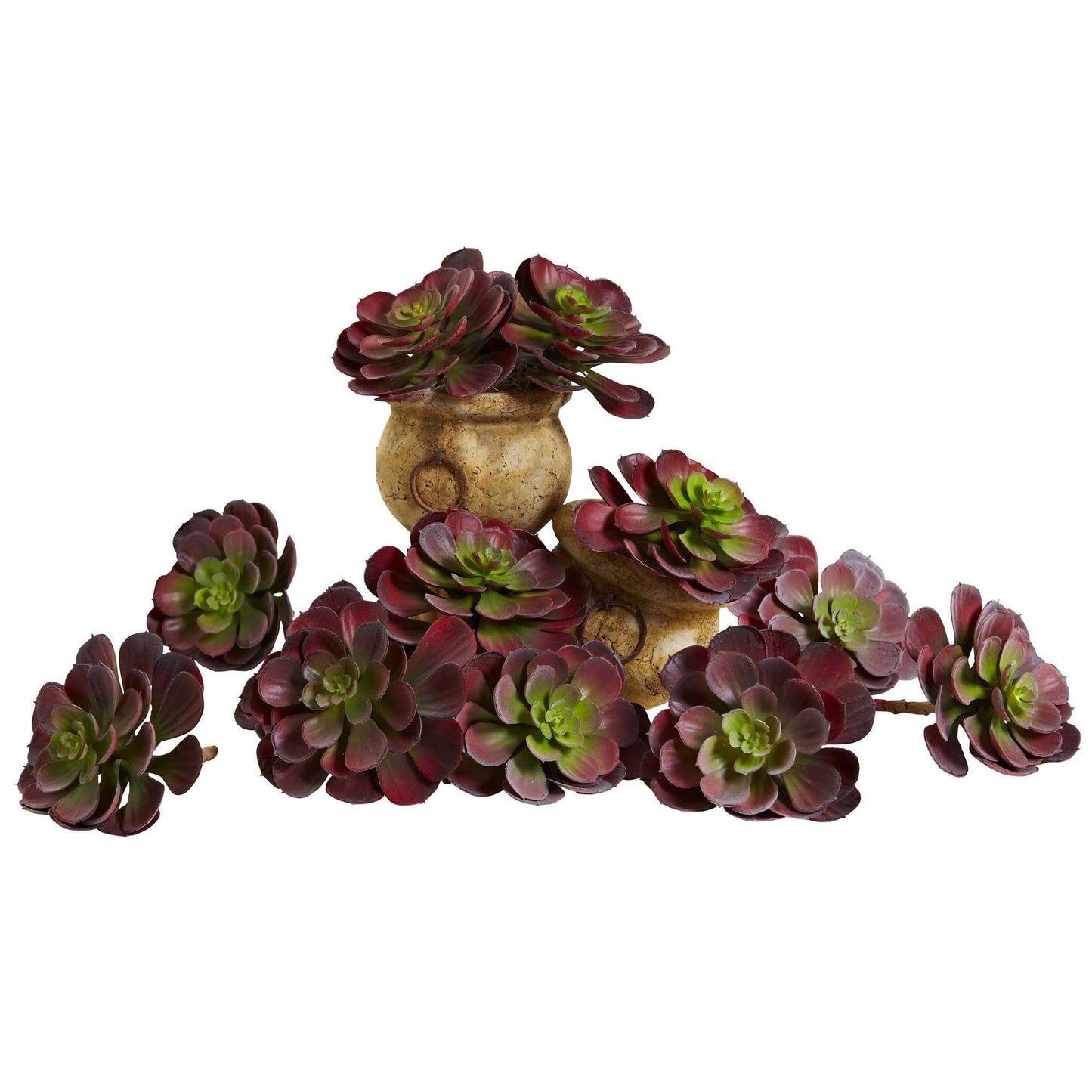 6in Echeveria succulent set of 12 by Nearly Natural burgundy rosettes in a pot on Tampa Home & Garden Store