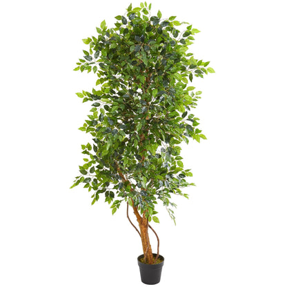 6 ft Elegant Ficus Artificial Tree by Nearly Natural with lush green leaves in a black pot on Tampa Home & Garden Store