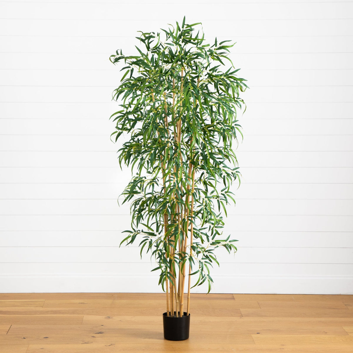 6' Fancy Style Slim Bamboo Silk Tree with lush green leaves in a black pot on Tampa Home & Garden Store