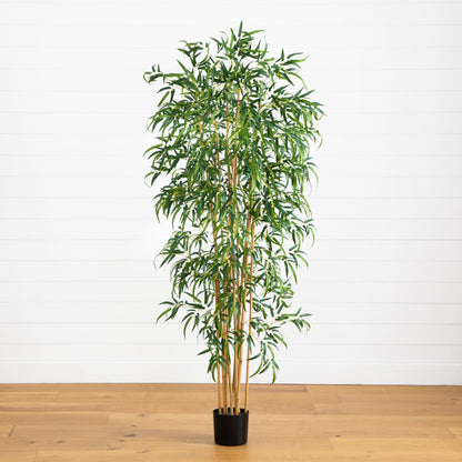 6' Fancy Style Slim Bamboo Silk Tree with lush green leaves in a black pot on Tampa Home & Garden Store