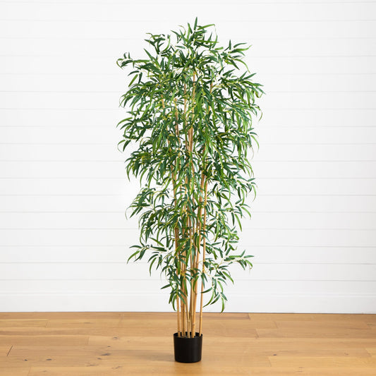 6' Fancy Style Slim Bamboo Silk Tree with lush green leaves in a black pot on Tampa Home & Garden Store