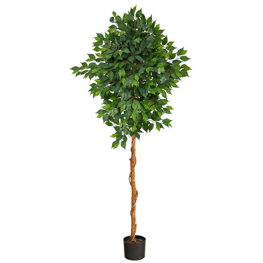6’ Artificial Ficus Tree - Tampa Home & Garden Store