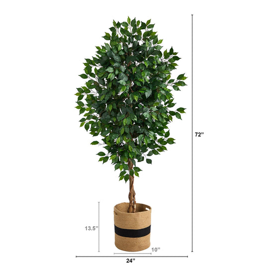 6' Ficus Artificial Tree with natural trunk in cotton planter Nearly Natural leaves on Tampa Home & Garden Store