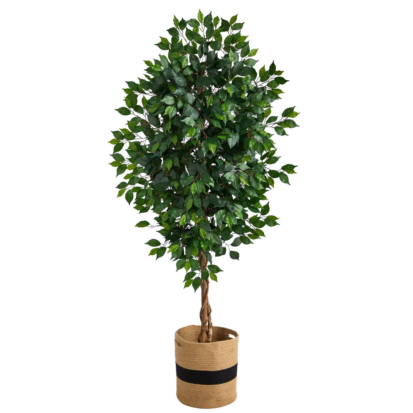 6ft ficus artificial tree with natural trunk in cotton planter by Nearly Natural on Tampa Store on Tampa Home & Garden Store