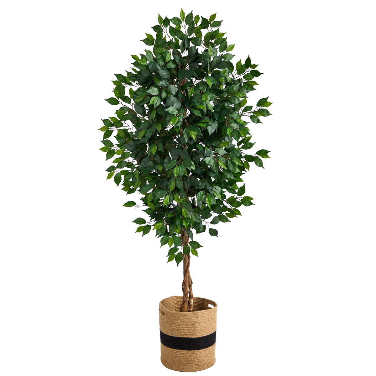6ft ficus artificial tree with natural trunk in cotton planter by Nearly Natural on Tampa Store on Tampa Home & Garden Store