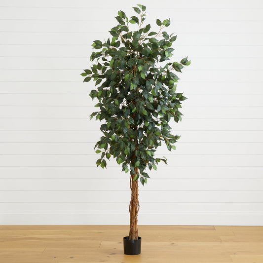 Ficus en soie de 6 pieds