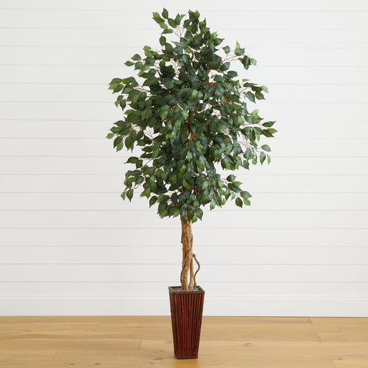 6' Ficus Tree w/Bamboo Planter - Tampa Home & Garden Store