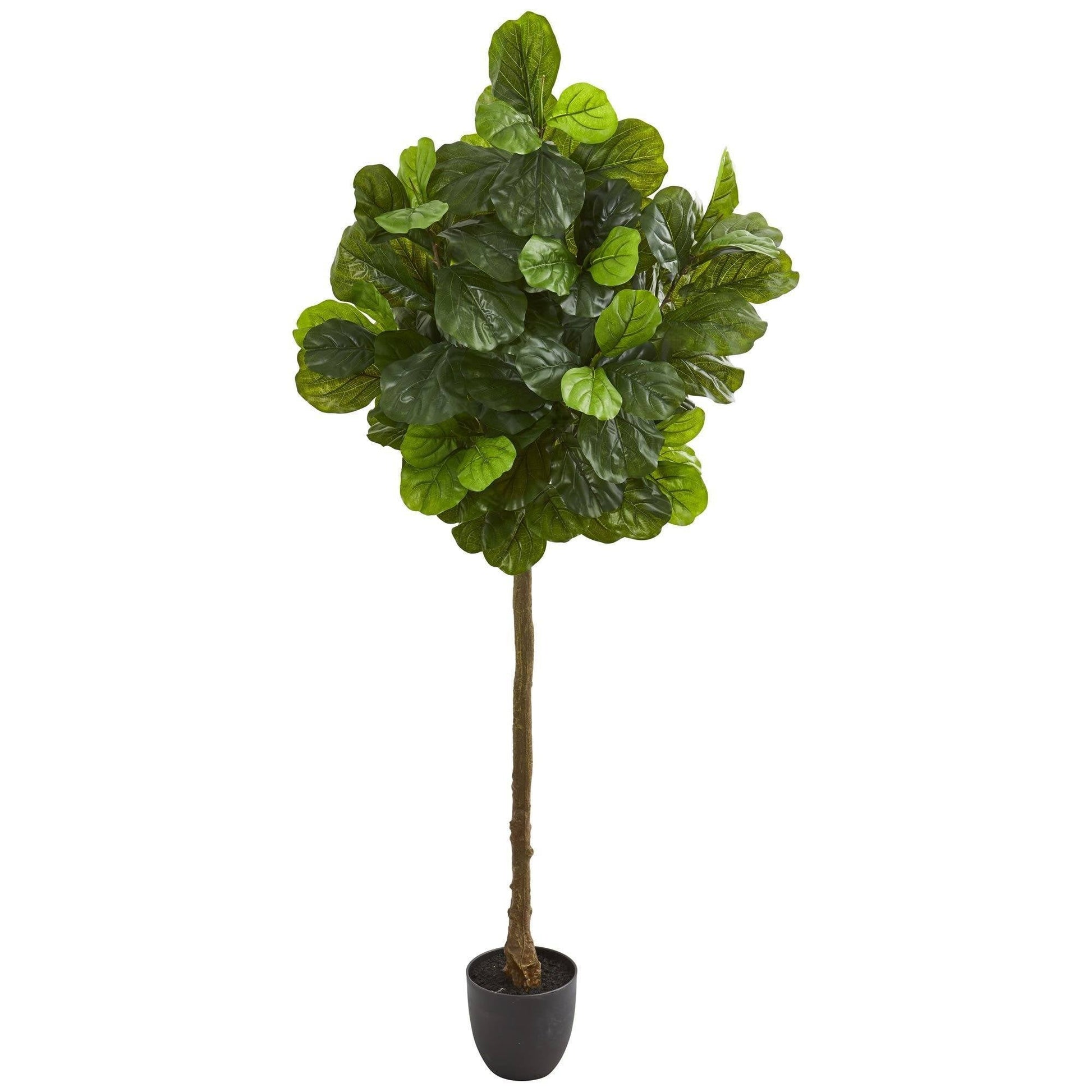 6’ Fiddle Leaf Artificial Tree Real Touch by Nearly Natural with green leaves in brown trunk pot on Tampa Home & Garden Store