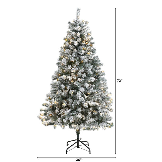 6' Flocked Rock Springs Spruce Christmas tree with 250 LED lights on Tampa Home & Garden Store
