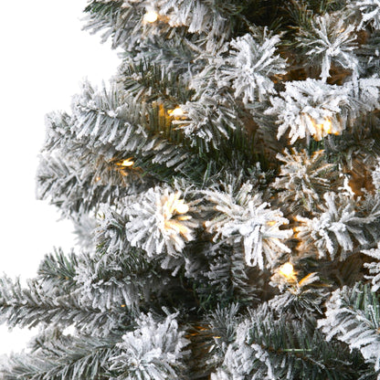 6' Flocked Rock Springs Spruce Christmas Tree with 250 Clear LED Lights Nearly Natural on Tampa Home & Garden Store