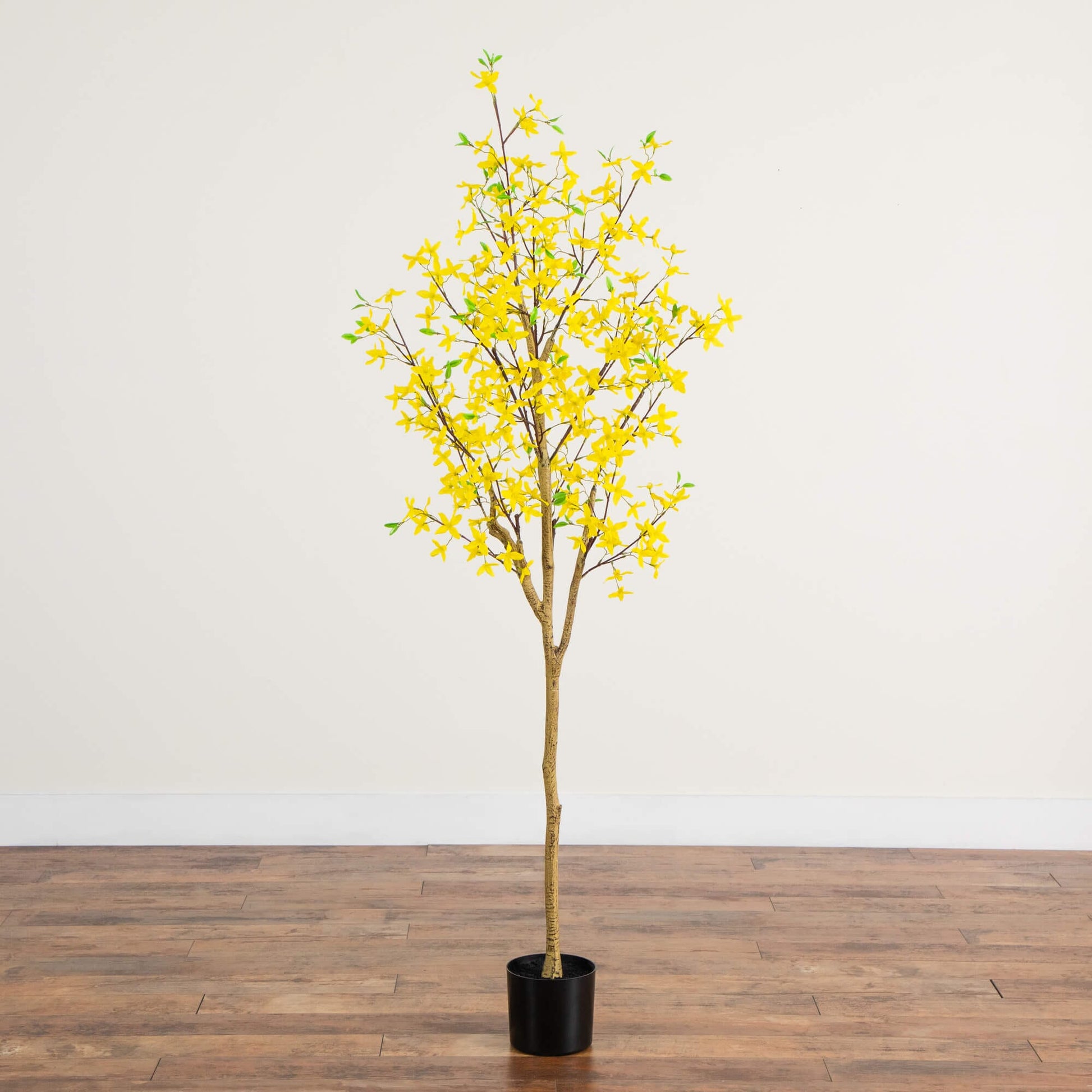 6' Nearly Natural forsythia tree with yellow blooms and green leaves in a black pot on Tampa Home & Garden Store