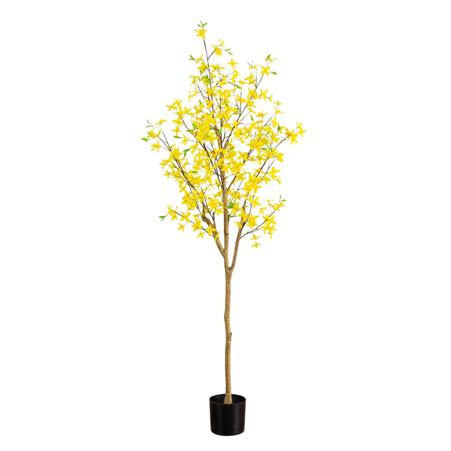 6 ft artificial Forsythia tree with bright yellow blossoms in a black pot on Tampa Home & Garden Store