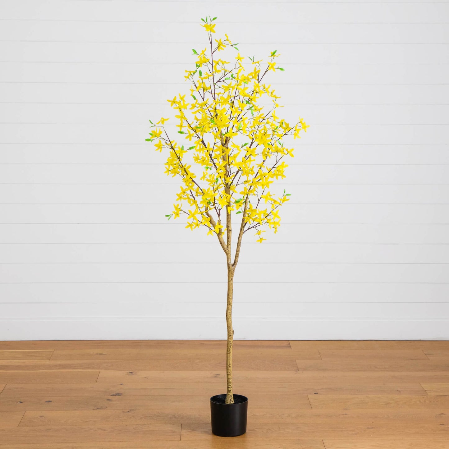6' Artificial Forsythia Tree by Nearly Natural in a black pot with bright yellow blossoms on Tampa Home & Garden Store