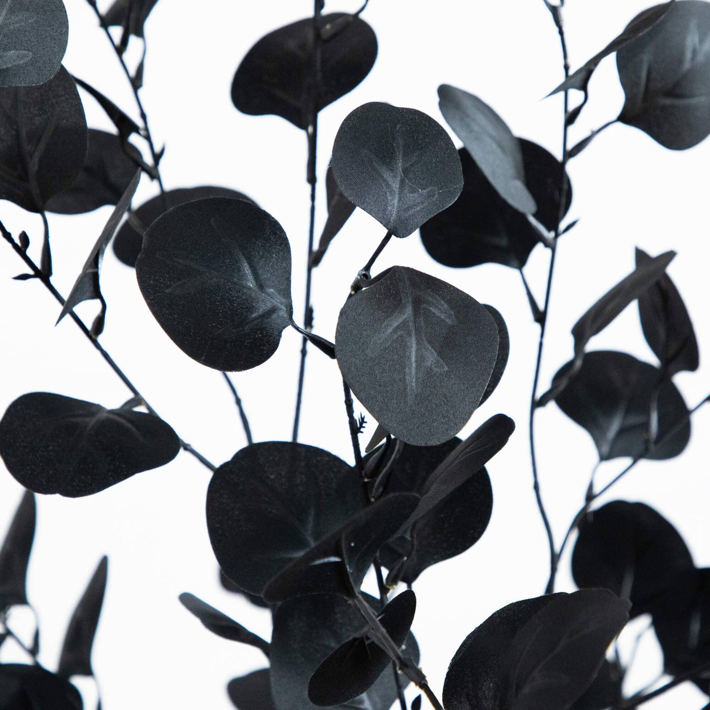 6' artificial Halloween Black Eucalyptus Tree with black round leaves by Nearly Natural on Tampa Home & Garden Store