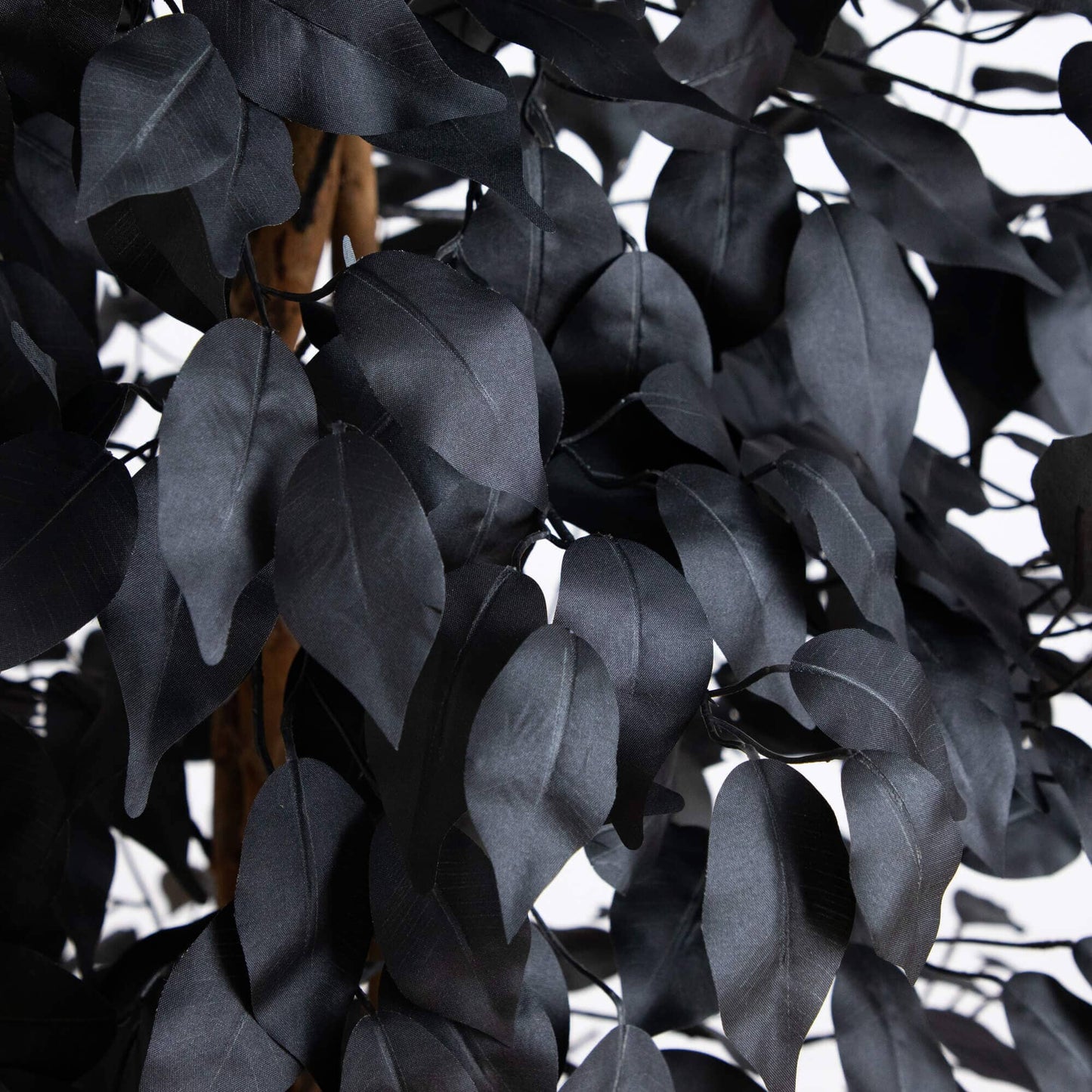 6' Artificial Halloween Black Ficus Tree with Natural Trunk by Nearly Natural with dense black leaves on Tampa Home & Garden Store