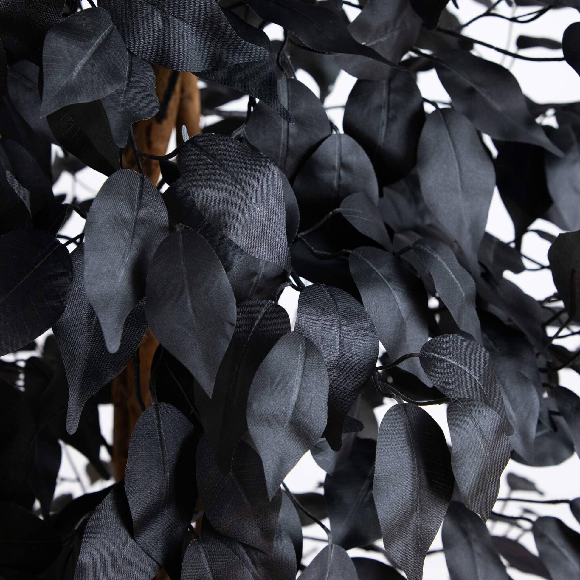 6' Artificial Halloween Black Ficus Tree with Natural Trunk by Nearly Natural with dense black leaves on Tampa Home & Garden Store