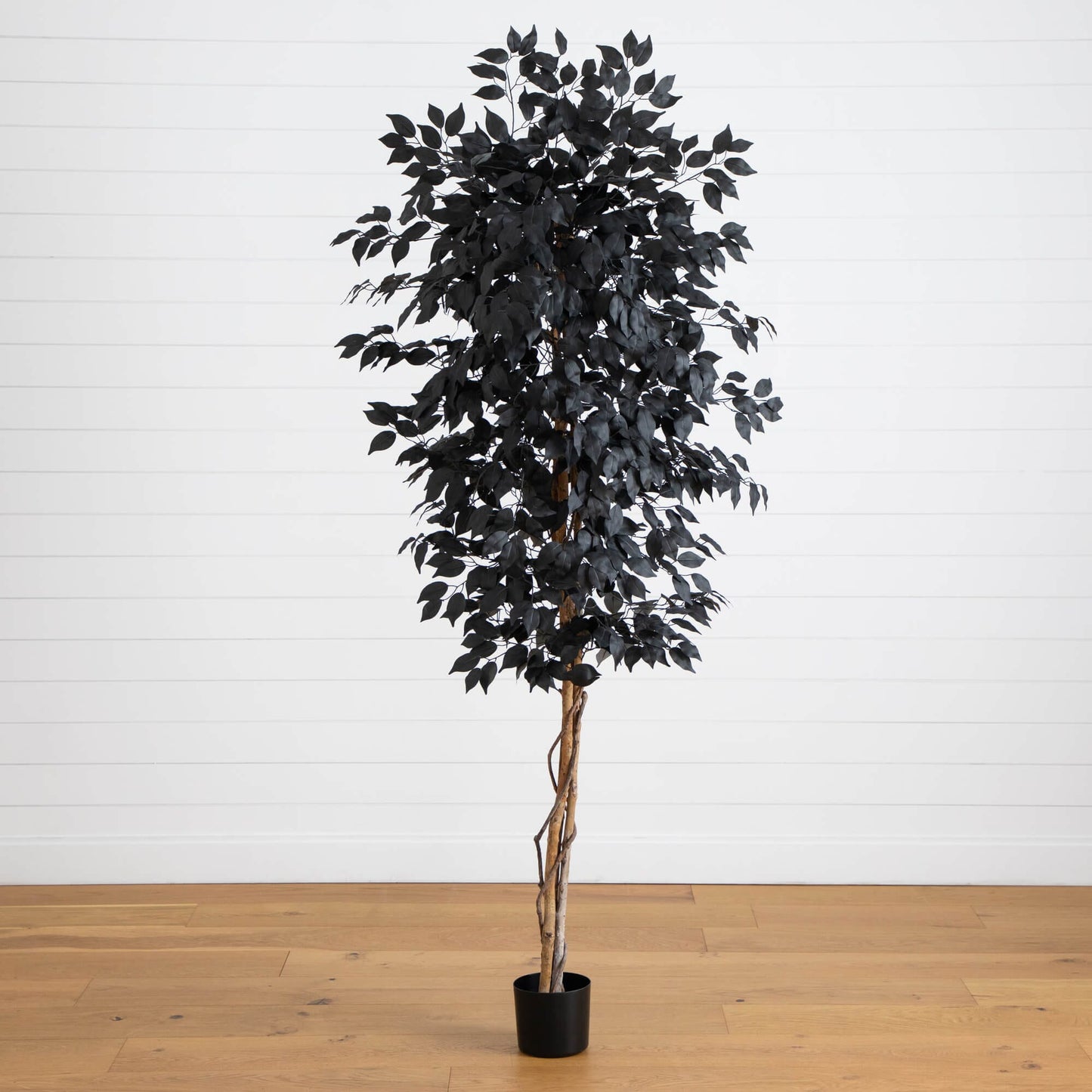 6' Nearly Natural artificial Halloween Black Ficus Tree with natural trunk in black pot on Tampa Home & Garden Store